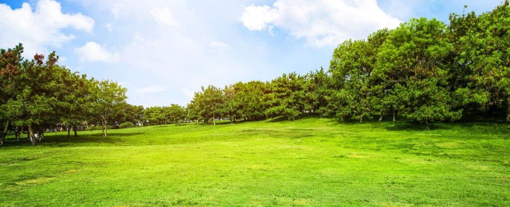 How to Increase Your Land Value