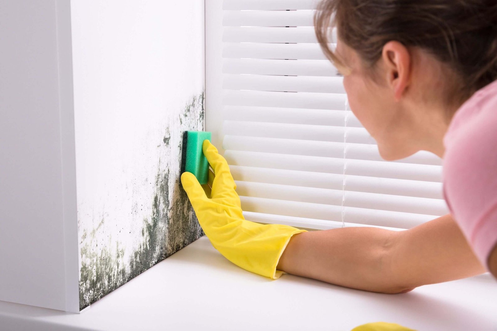 Mold on walls